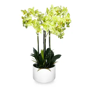 Real Touch Phalaenopsis Orchid Artificial Orchid in Pot, 29-Inch with 4 Branches, Faux light-green Color, Durable Plastic, Resin Basin
