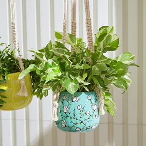 Light Blue Hanging Planter with Macrame Plant Hanger