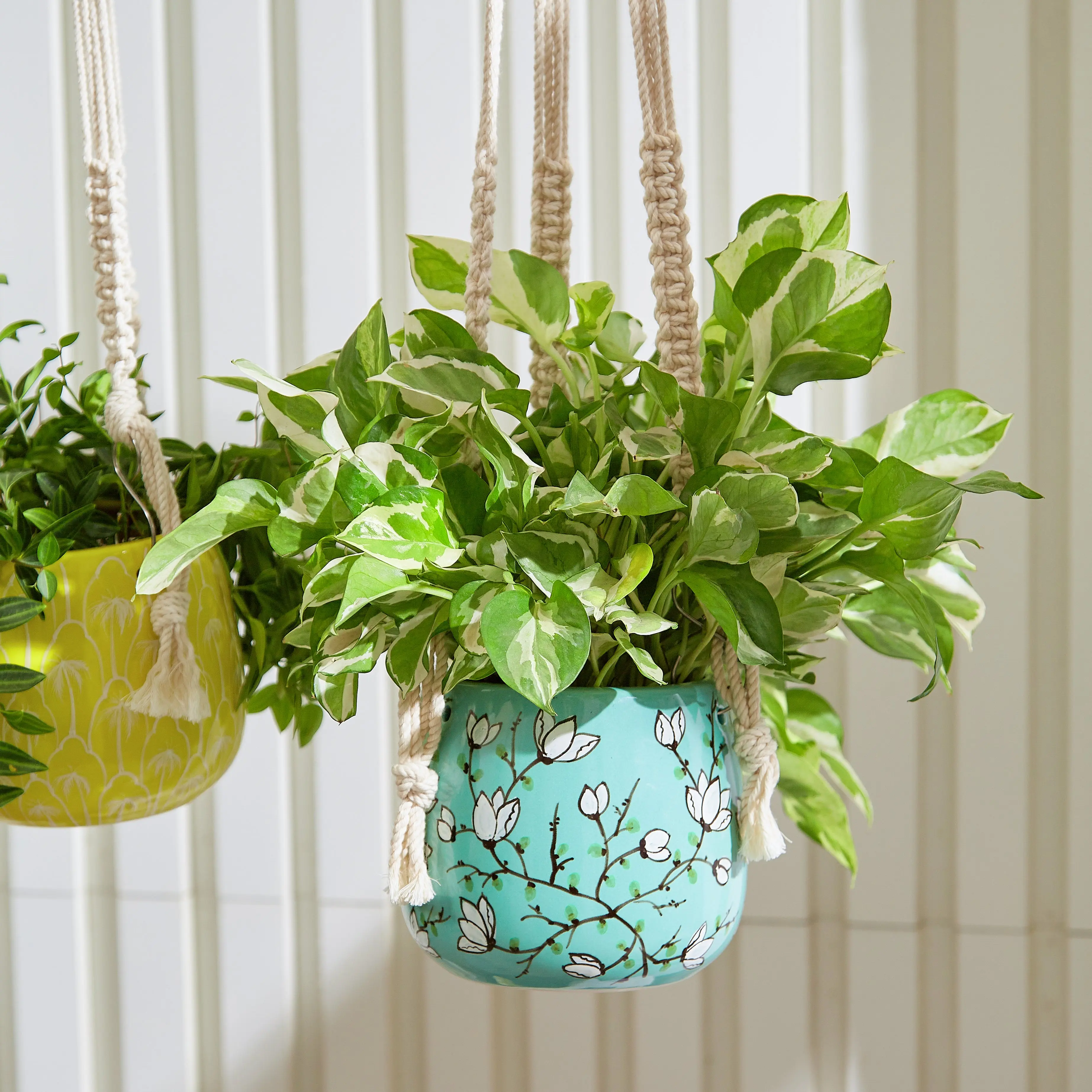 Light Blue Hanging Planter with Macrame Plant Hanger