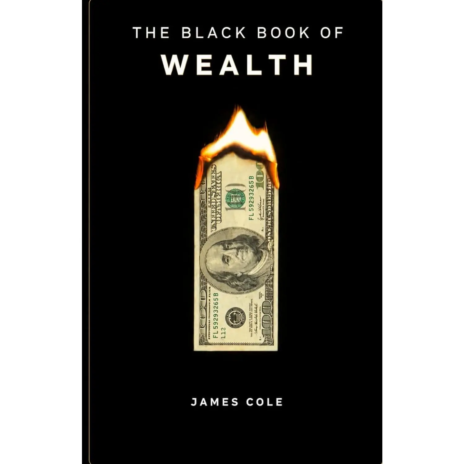THE BLACK BOOK OF WEALTH: The Hidden Psychology, Forbidden Strategies, and Timeless Systems of the Financially Powerful