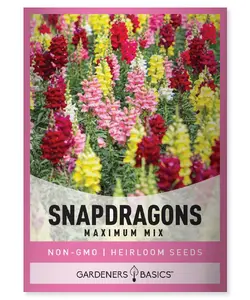 Tetra Mix Snapdragon Seeds