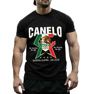 No Boxing No Life Mexican Flag Eagle Graphic Tee Boxing Fan Gift Proud Mexican Fighter Everyday Wear Cotton Tee Shirt