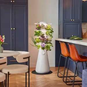 Farmstand Nook - Compact 20-Plant Indoor Hydroponic System for Veggies Herbs Greens & Edible Flowers Self-Watering Self-Fertilizing Garden 3 Yr Warranty