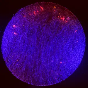 The Water Test — At-Home Microplastics Test Kit (2 Tests)