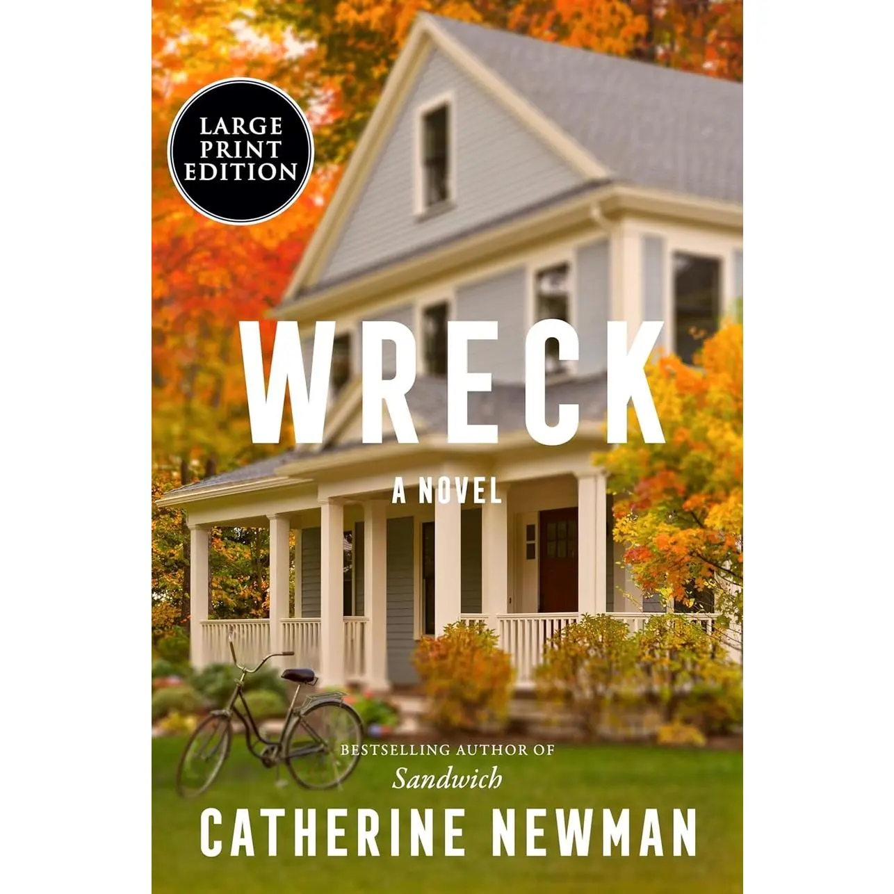 Wreck: A Novel