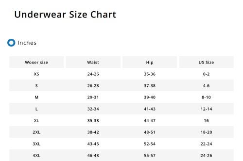 Star 3" Boxer Briefs | For No-Dig Comfort & Stay-Put Fit