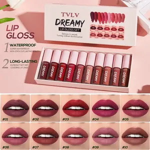 Long-Lasting Liquid Lipstick Set, Quick-Dry No Smudge, Casual Makeup Lip Gloss Series, Suitable for Daily Use