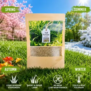 6000 All-Season Fast-Growing Grass Seeds – Carpet-Like Lawn, Golf Course Quality Turf
