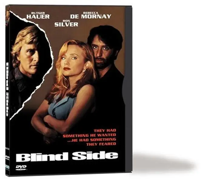 USED Book - Blind Side (DVD) - english