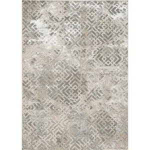 Luna 7124 Sand Silver Dimensions Machine Woven Performance Area Rug - KAS