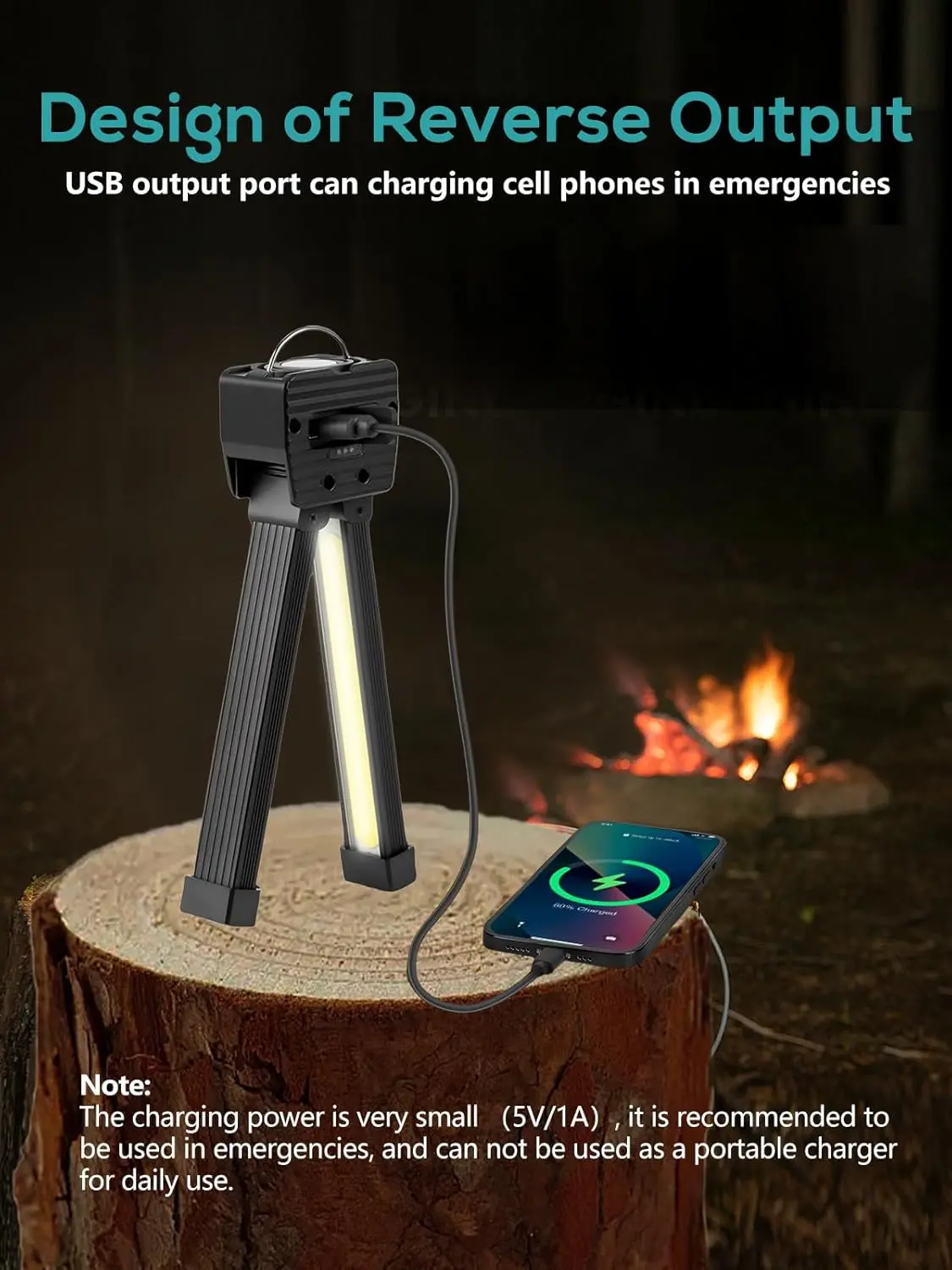 HOUBALND  Portable Gym Lighting for Posing, Gym Lamp,Magnetic Work Light Rechargeable, Gift for Men/Women, 180° Rotate Foldable with Hang Hook Camping Lamp, USB Power Bank LED Handheld Flashlight (Black)