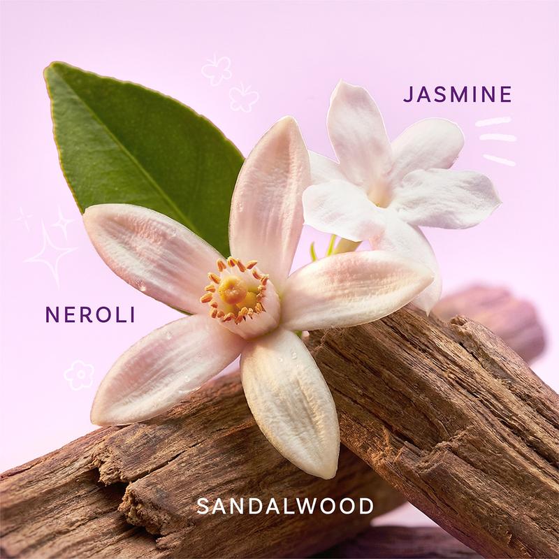 BellaVita Luxury Bloom Bae Hair & Body Mist for Women | Sweet Floral Body Spray | Long-Lasting Hair and Body Mist | Hydrating, Alcohol-Free Perfume Mist | 240ML | 8.12 fl.oz