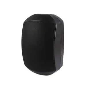 Wall Speaker 40watt