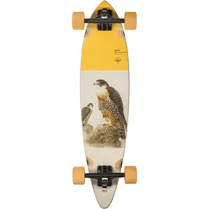 Globe Longboard Pintail 34 Falcon 8.5" x 34"