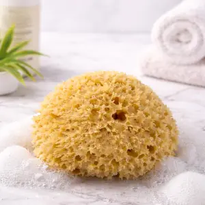 Natural Wool Sea Sponge – Ultra Soft Bath Sponge for Gentle Skin Cleansing