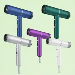 High Speed Ionic Hair Dryer, Professional Salon Blow Dryer with Negative Ions, Low Noise Fast Drying Hairdryer, Hot &amp; Cold Wind, Intelligent Temperature Control, Lightweight Styling Tool for Home &amp; Travel