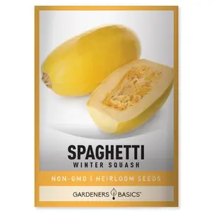 Spaghetti Winter Squash Seeds