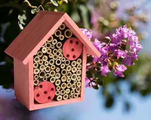 Mason Bee House - Bamboo Tube Bee Hotel for Solitary Bees - Attract More Pollinating Bees to Your Garden by Providing Them With a Bee Home Made from FSC Certified Wood | by Cestari