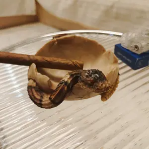 Cobra Ashtray High-Value Home Decor, Living Room Coffee Table Accessory, Elegant Personalized Design, Perfect Gift Idea