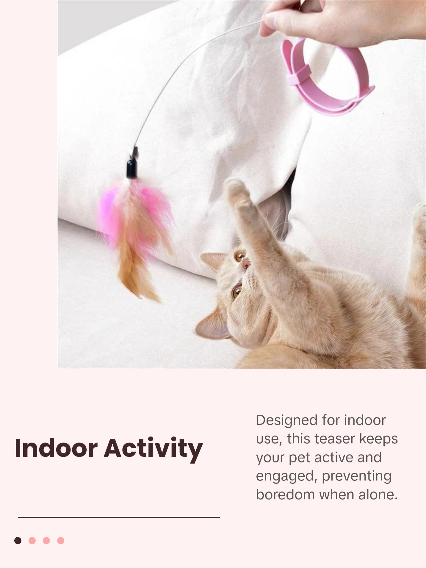 Feather Teaser Wand with Bell & Collar