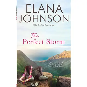 USED-The Perfect Storm: A McLaughlin Sisters Novel by Johnson, Elana (Paperback)