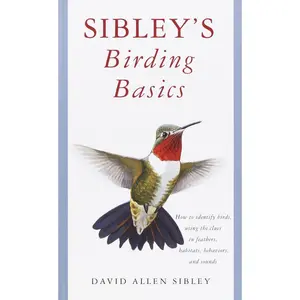 USED-Sibley's Birding Basics by Sibley, David Allen (Paperback)