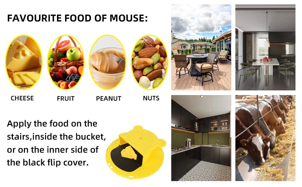 Mouse Trap Bucket - Mouse Traps Indoor for Home - Multi-Catch, Auto-Reset, Humane or Lethal Rat Trap - ABS Material - 5 Gallon Bucket Compatible-4pc