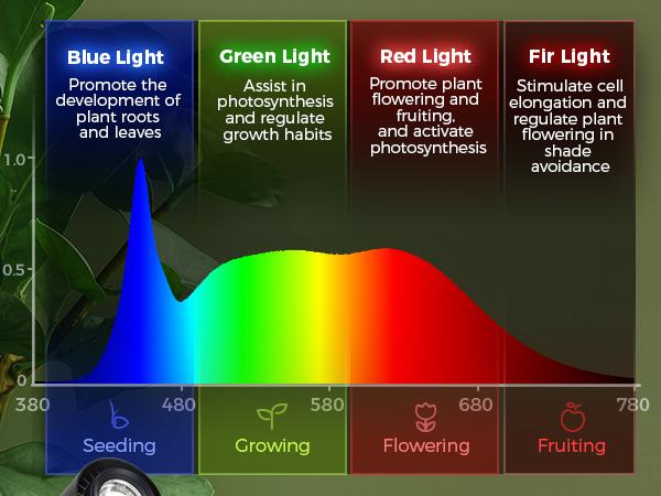 Barrina TR40a Track Plant Lights for Indoor Growing, 40W Ceiling Grow Lights with Adjustable Beam Angle (15°-60°), 5000K Full Spectrum Wall Plant Light with Timer for Greenhouse, Black Cover