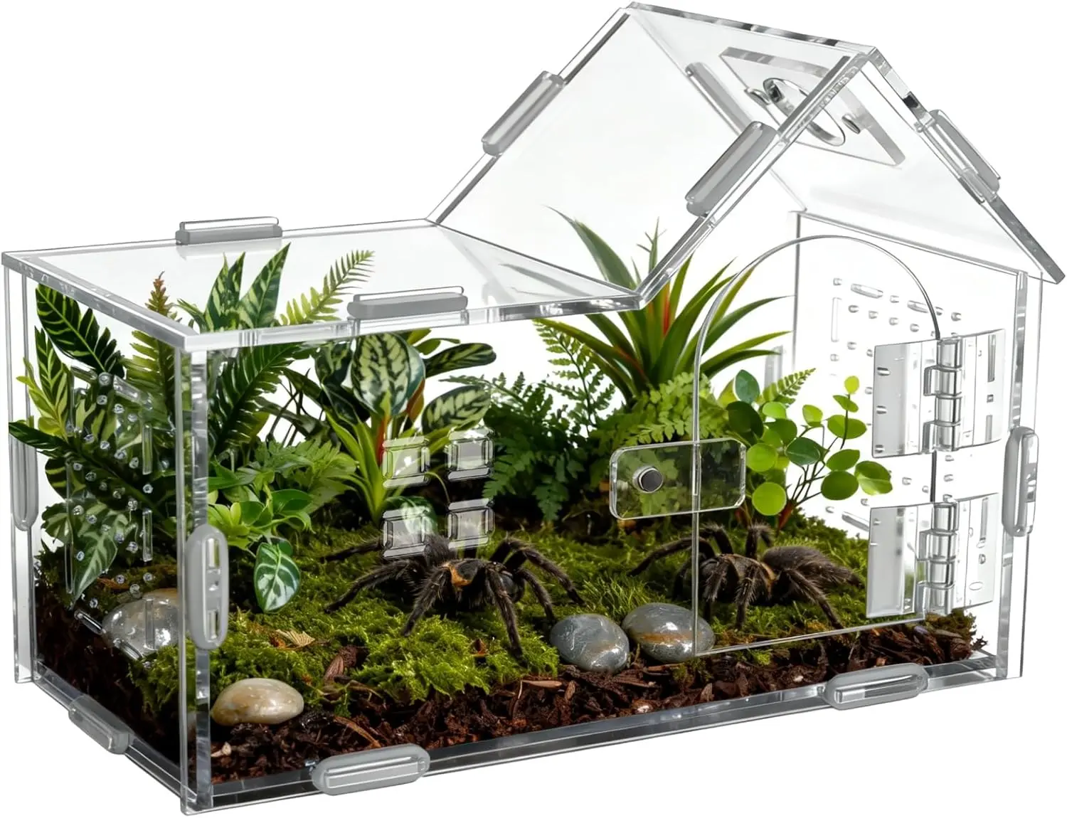 Spider Acrylic Enclosure, Clear Acrylic Spider Habitat Box with Adsorptive Door Feeding Hole, Ventilated Small Reptile Terrarium for Small Lizard Snail Cricket Mantis