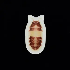Cappuccino Isopod Acrylic Magnet Enclosure Tag (Cubaris sp. Cappuccino)