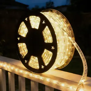 LED Rope Lights, 100ft 110V Waterproof Outdoor Rope String Lights Ideal for Eaves, Backyards Garden, Christmas Decoration (Warm)