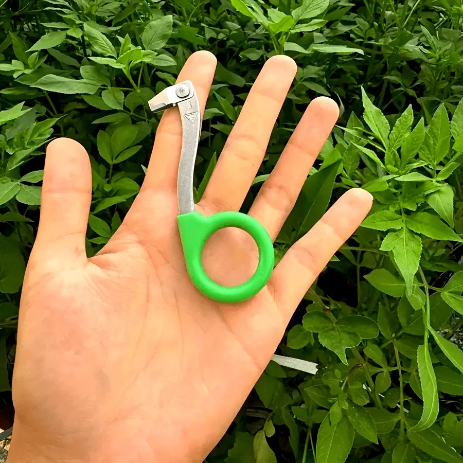 Stainless Steel Grafting Tools, Professional Gardening Pruning Shears, Equipped with a Bark Knife, Grafting Ring Knife for Fruit Tree Seedlings, Suitable for Orchards And Vineyards, Ring Cutting Knife And Ring Scissors for Fruit Trees Like Citrus