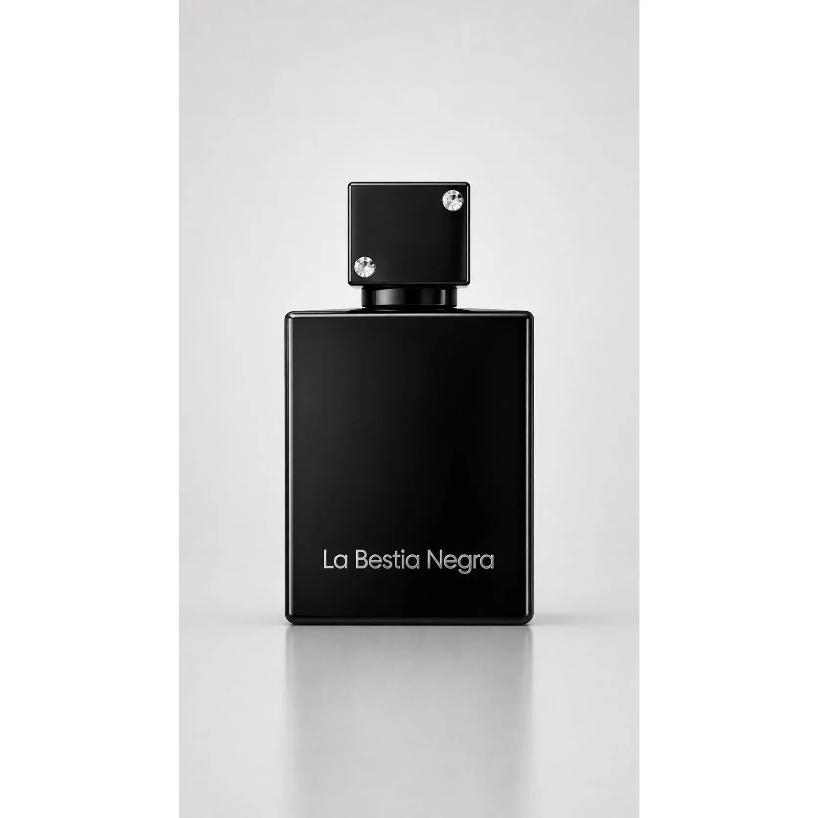 La Bestia Negra - Eau de Parfum for Men, 100ml, Black Bottle, Elegant Design, Perfect for Daily Use