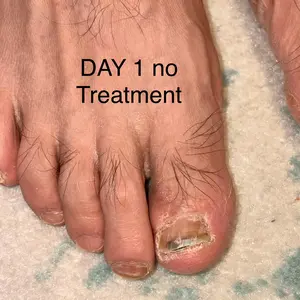 review image 4