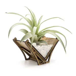Desktop Planter / Air Plant Holder - Unique Plant Display // Terrarium Handmade Wood Home Table Shelf Desk Decor Gift Idea for Plant Lover