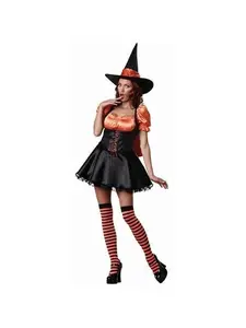 Adult Wicked Witch Costume