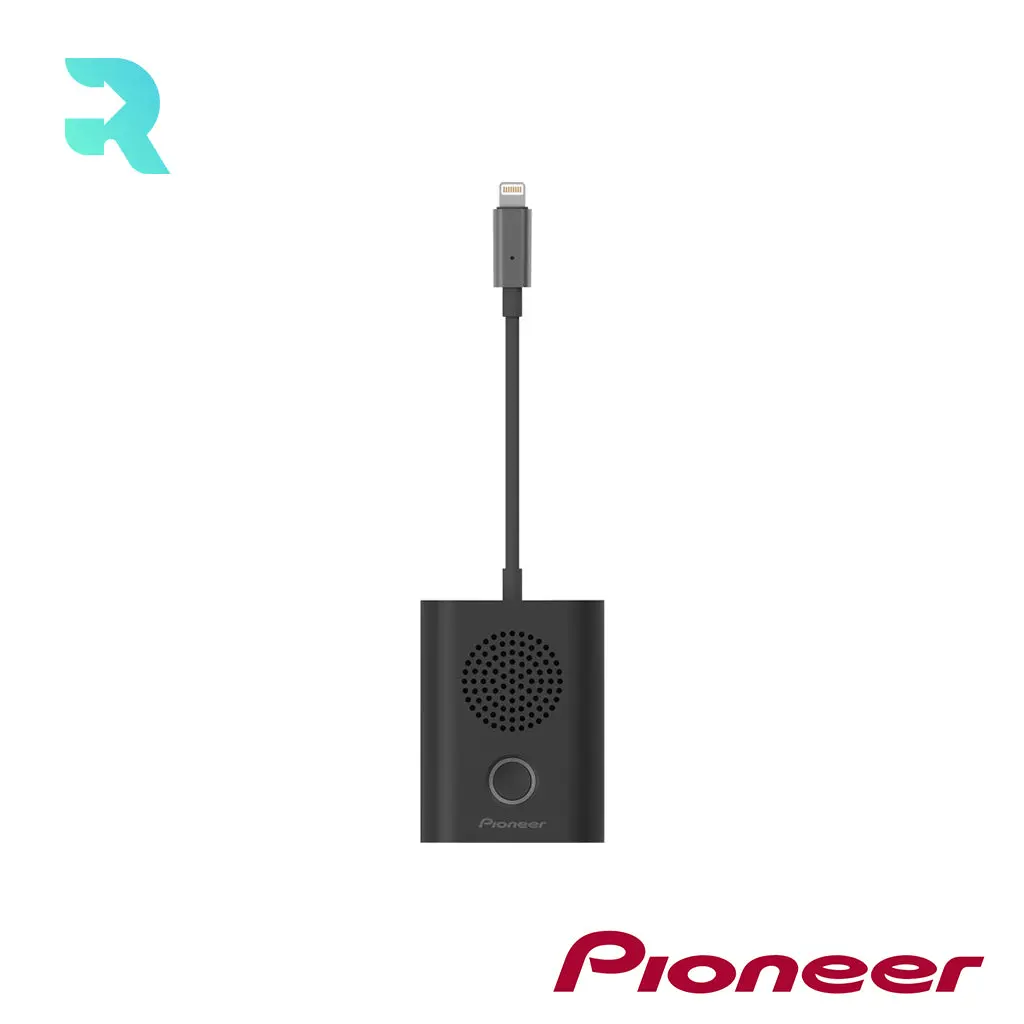Pioneer Rayz Rally Lightning Speaker Space Gray Like New Condition XW-LTS5(S)CU