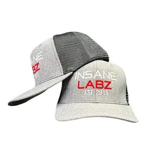 10 Year Anniversary Insane Labz [Est 2015] Logo Cap