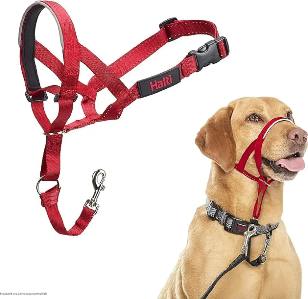 Halti Headcollar - Stop Your Dog Pulling on the Leash. Adjustable, Reflective and Lightweight, with Padded Nose Band. Dog Training Anti-Pull Collar for Medium Dogs (Size 3, Red)