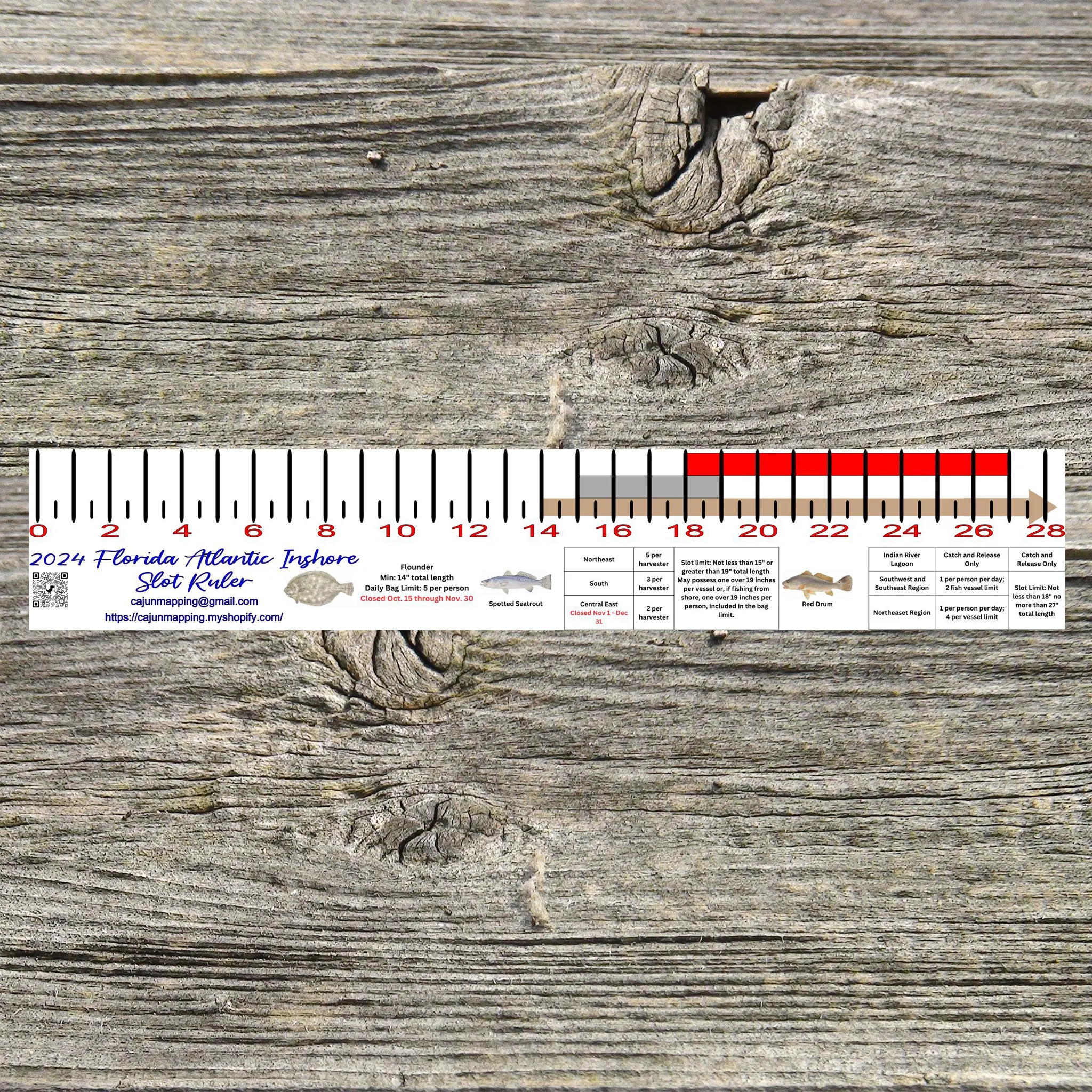 FLORIDA ATLANTIC COAST INSHORE SLOT FISH RULER
