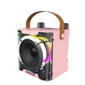 Bluetooth mini speaker portable audio all-in-one machine with microphone for two-person karaoke Bluetooth speaker