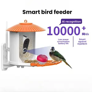 Popular outdoor automatic feeder, large capacity hummingbird feeder, feeder, pet smart bird feeder