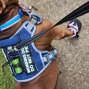 AUROTH Tactical Dog Harness – Universal Harness, Walking Harness & Safety Harnesses for Small to Large Dogs, Durable Reflective, Easy to Control, No Pull Adjustable Pet Harness, Pet Supplies