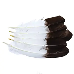 99FR113-5: Tom Turkey "Eagle" Brown Tipped 10-12" - 5PC
