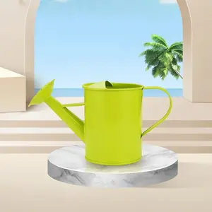Durable Metal Sprinkling Can, Fine Nozzle for Gentle Watering of Flowers & Herbs
