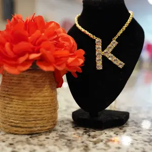 Sorrelli Initial Necklace
