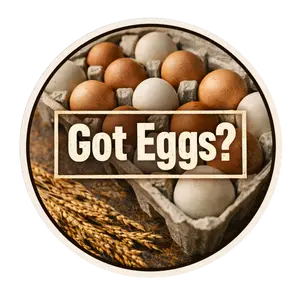 Got Eggs? Farm Fresh Egg Sticker – Rustic Chicken Lover Decal (3”)
