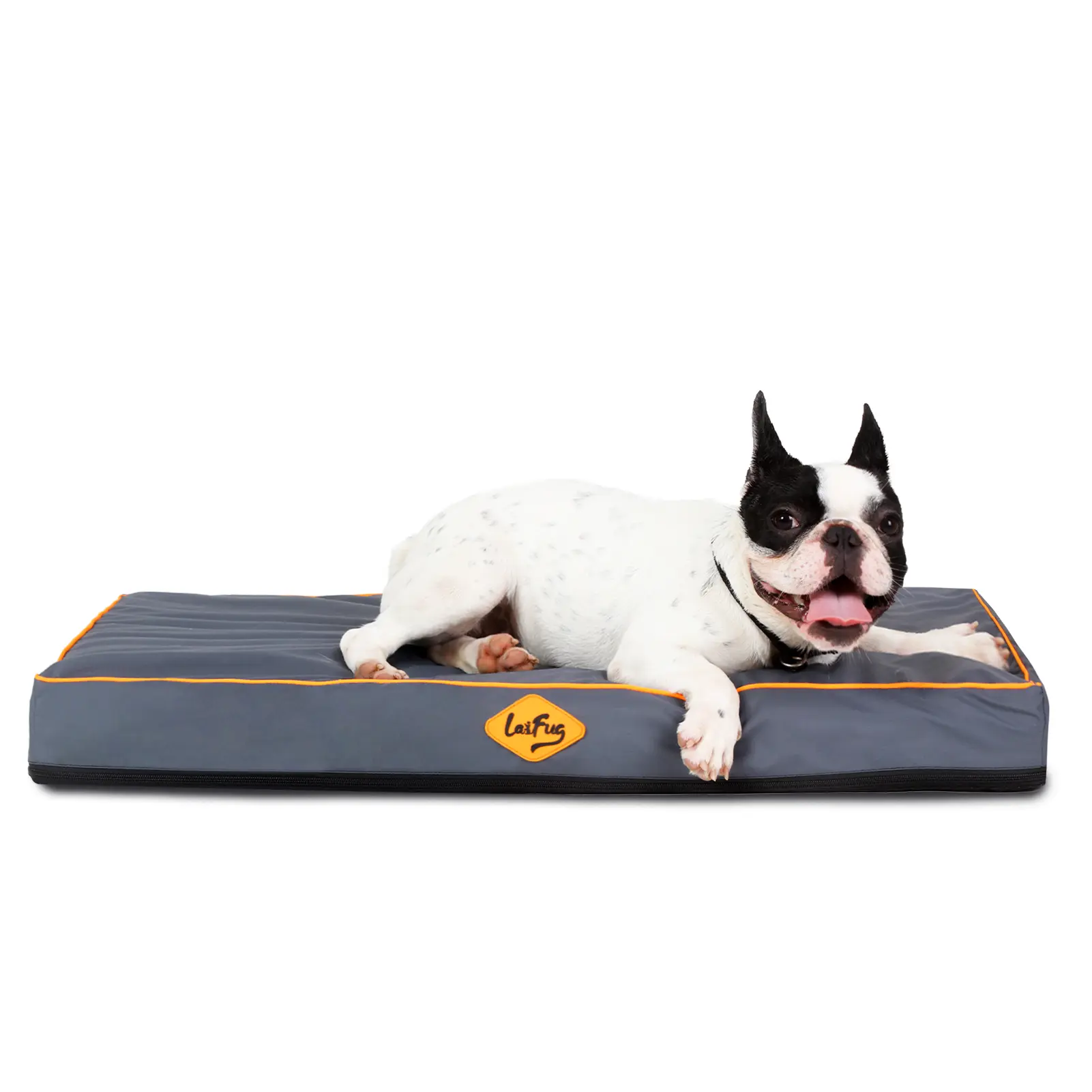 Laifug Outdoor Waterproof Dog Bed for Small Dogs (30'' X 20'' X 3'' Inch)- Dog Bed Washable, Jacket Fabric, Egg Orthopedic Foam Pet Dog Bed, with Removable Durable Cover and Non-Slip Bottom