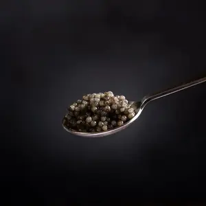 Order White Sturgeon Caviar – Sustainably Sourced, Delivered Fresh