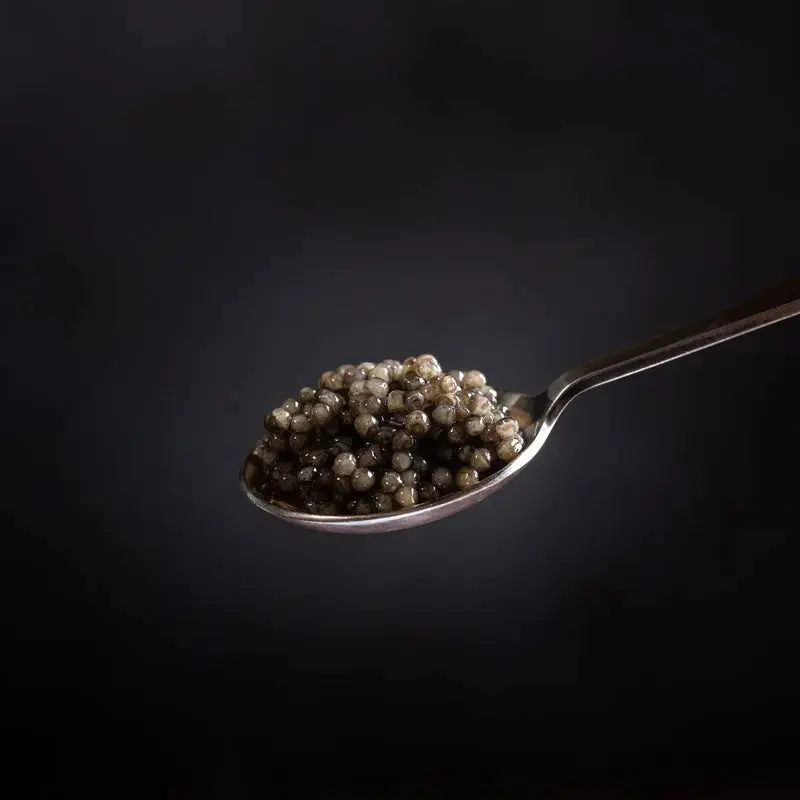 Order White Sturgeon Caviar – Sustainably Sourced, Delivered Fresh